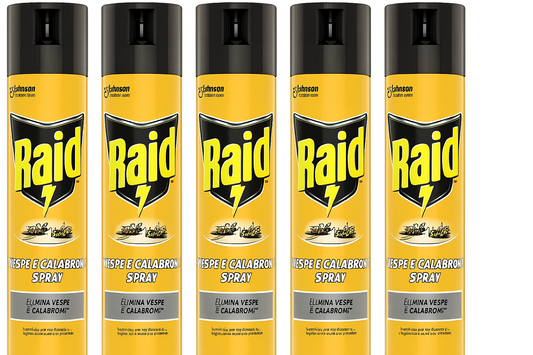 5 x Raid Wespen- und Hornissenspray 400ml